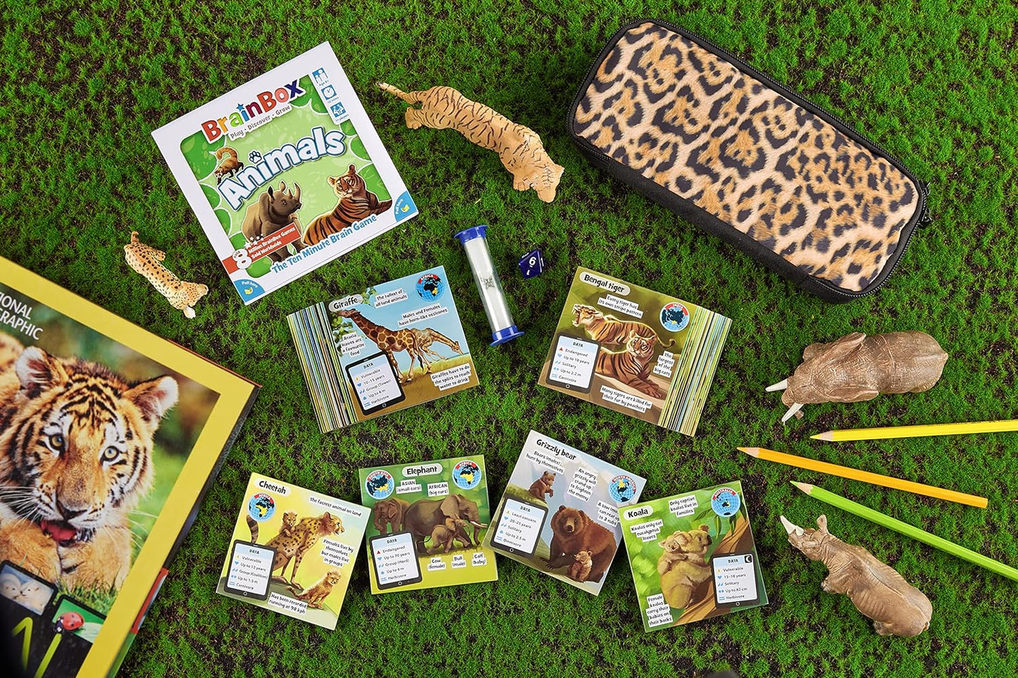 BRAINBOX: ANIMALS (2022)