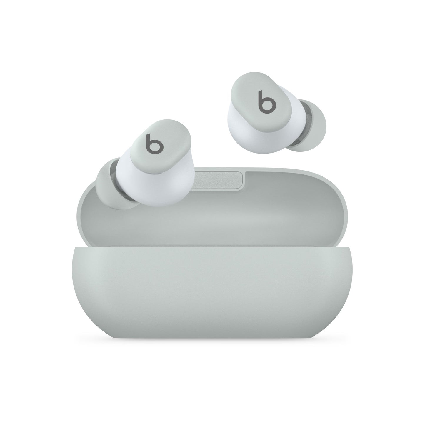 Beats Solo Buds storm gray true wireless earbuds with case