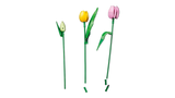 LEGO® | Botanicals: Tulip Bouquet (11501)