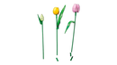 LEGO® | Botanicals: Tulip Bouquet (11501)