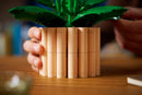 LEGO® | Botanicals: Peace Lily (11504)