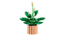 LEGO® | Botanicals: Peace Lily (11504)
