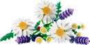 LEGO® | Botanicals: Daisies (11508)