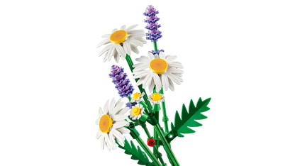 LEGO® | Botanicals: Daisies (11508)