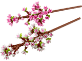 LEGO® | Botanicals: Cherry Blossoms (40725)
