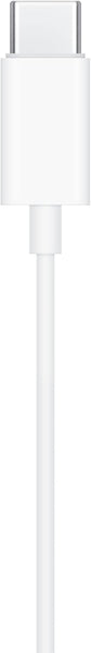 Apple EarPods with USB-C Connector (White)