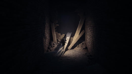 Reanimal (PlayStation 5)