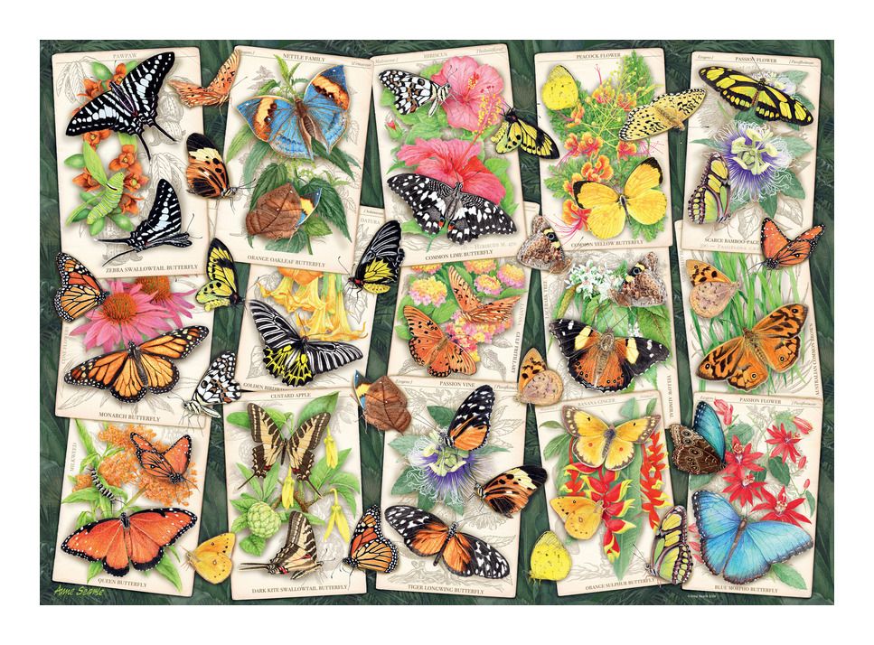 Ravensburger | Tropical Butterflies 1000 Piece Jigsaw Puzzle