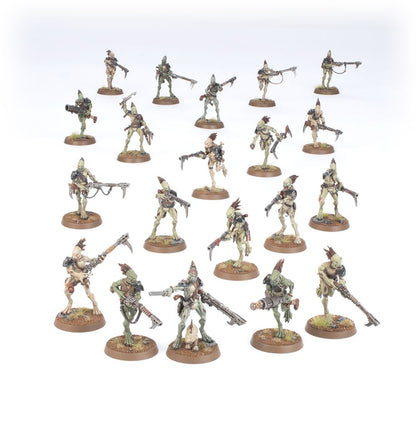 T'AU EMPIRE : ARMY SET (KROOT HUNTING PACK)