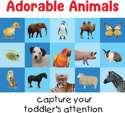 First 100 Animals Card Game