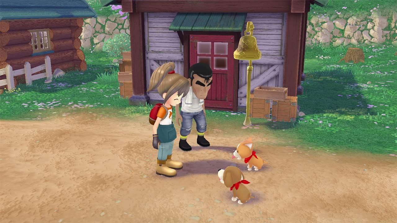Story of Seasons: A Wonderful Life (PlayStation 5)
