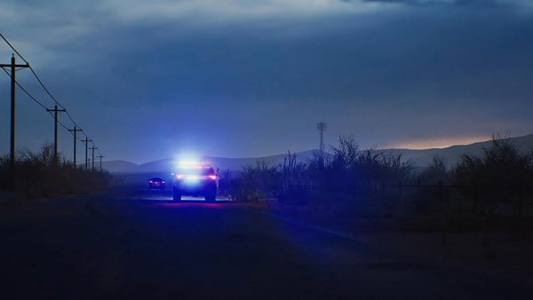 Highway Police Simulator (PlayStation 5)