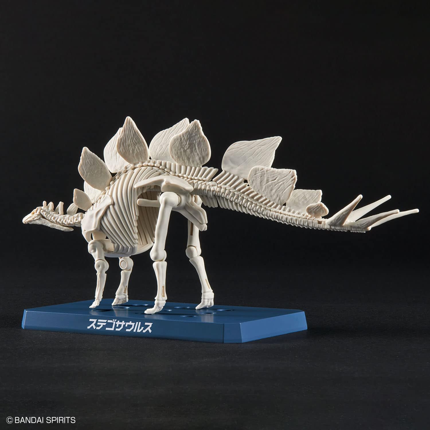 Plannosaurus: Stegosaurus