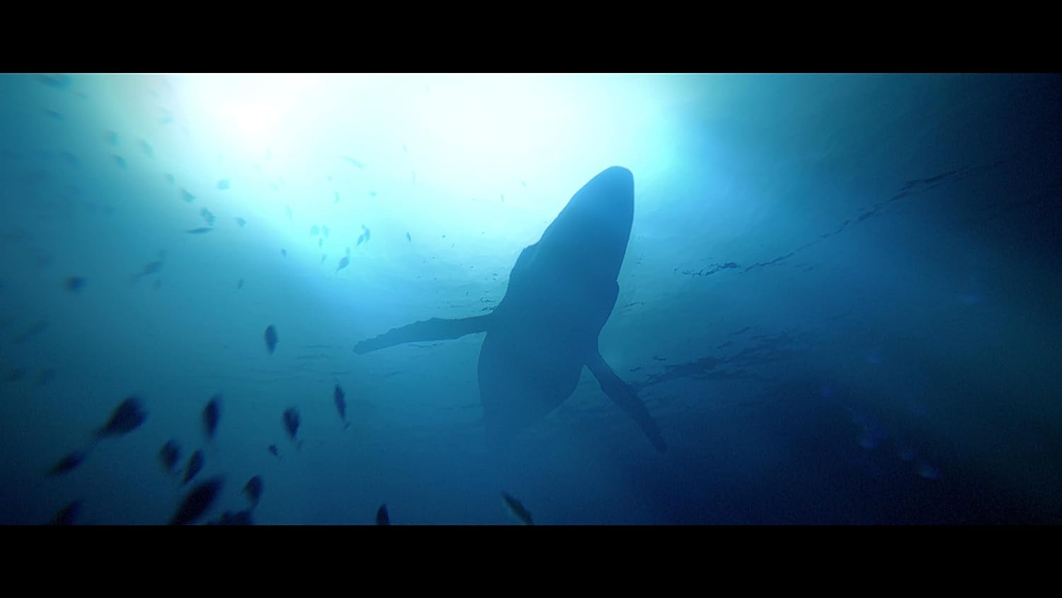 Under the Waves (PlayStation 5)