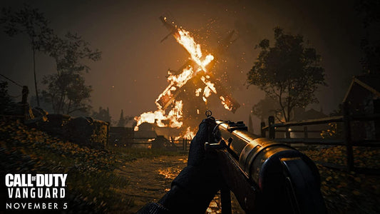 Call of Duty: Vanguard (PlayStation 4)