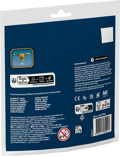LEGO® | Harry Potter: Quidditch Lesson (30706) (Polybag)