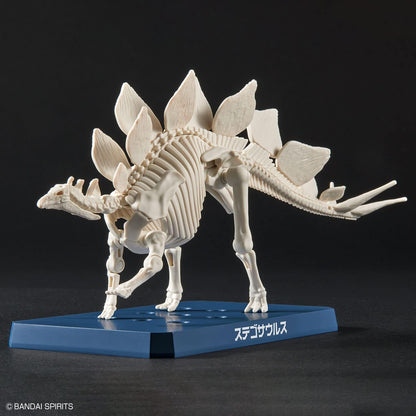 Plannosaurus: Stegosaurus