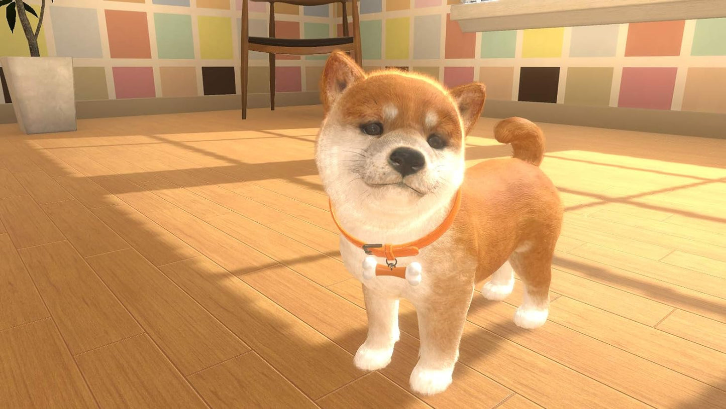 Little Friends: Dogs & Cats (Nintendo Switch)