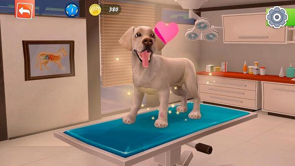 Animal Hospital (PlayStation 4)