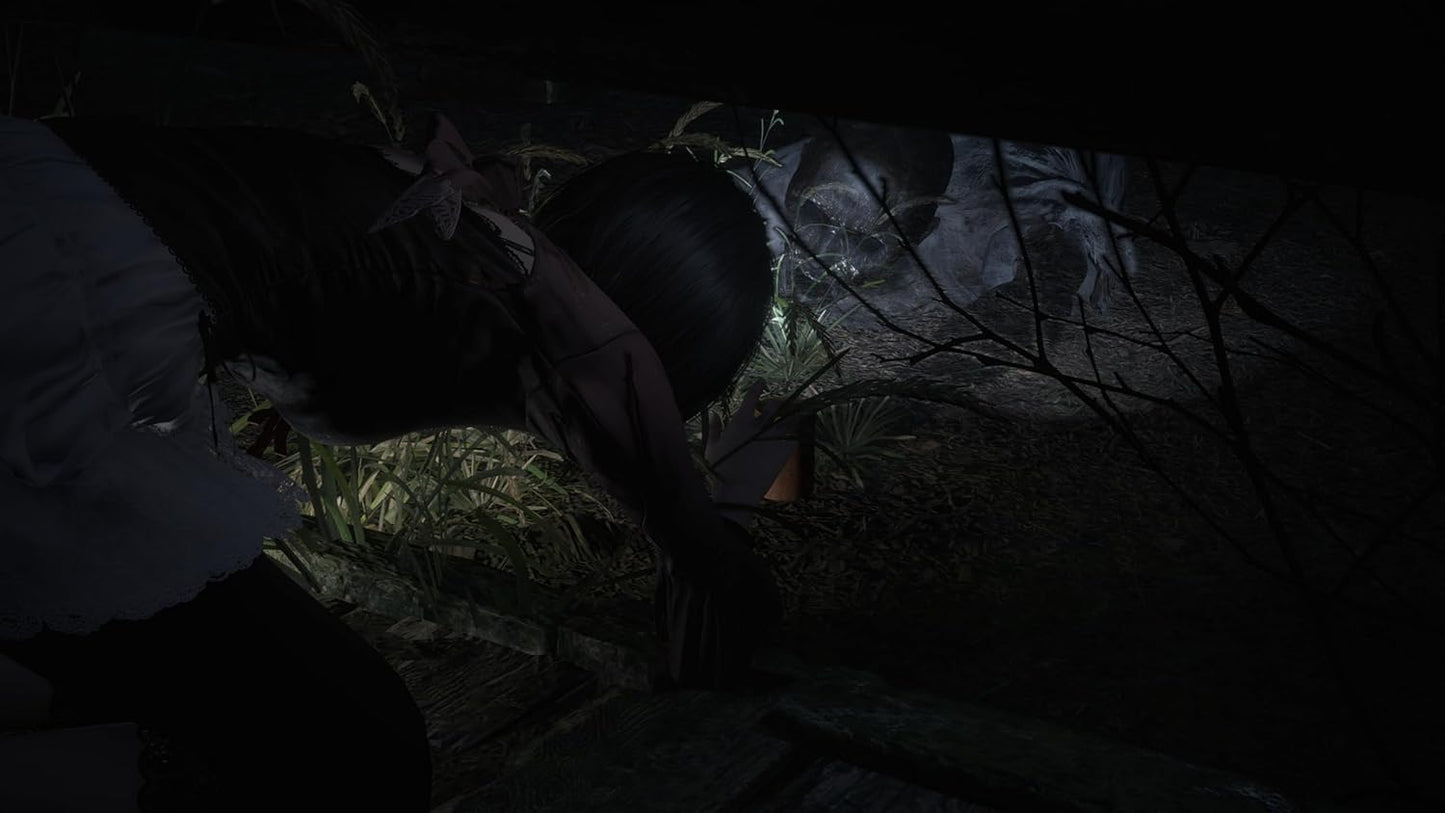Fatal Frame II: Crimson Butterfly (Xbox Series X)