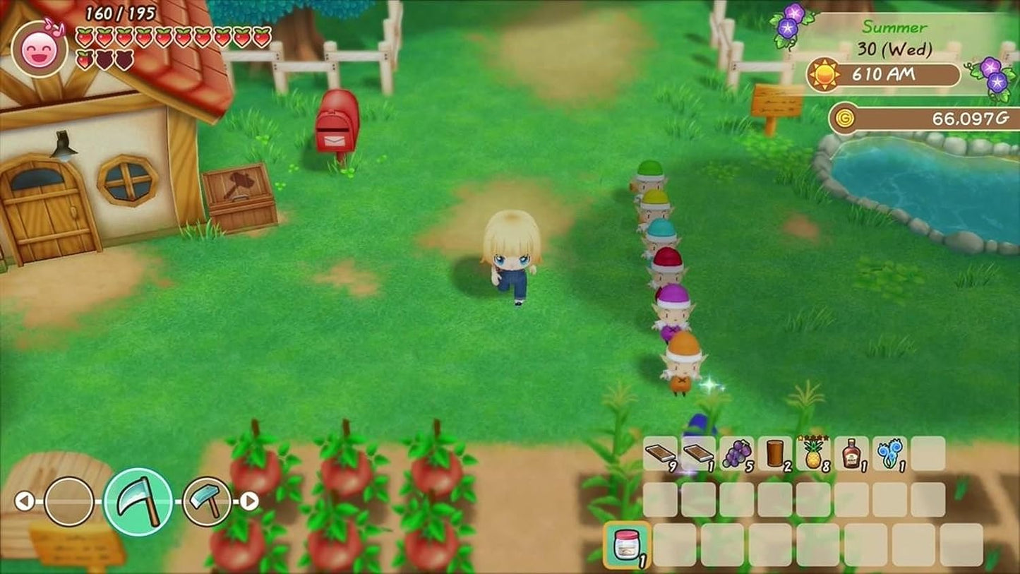 Story of Seasons: Friends of Mineral Town (Nintendo Switch)