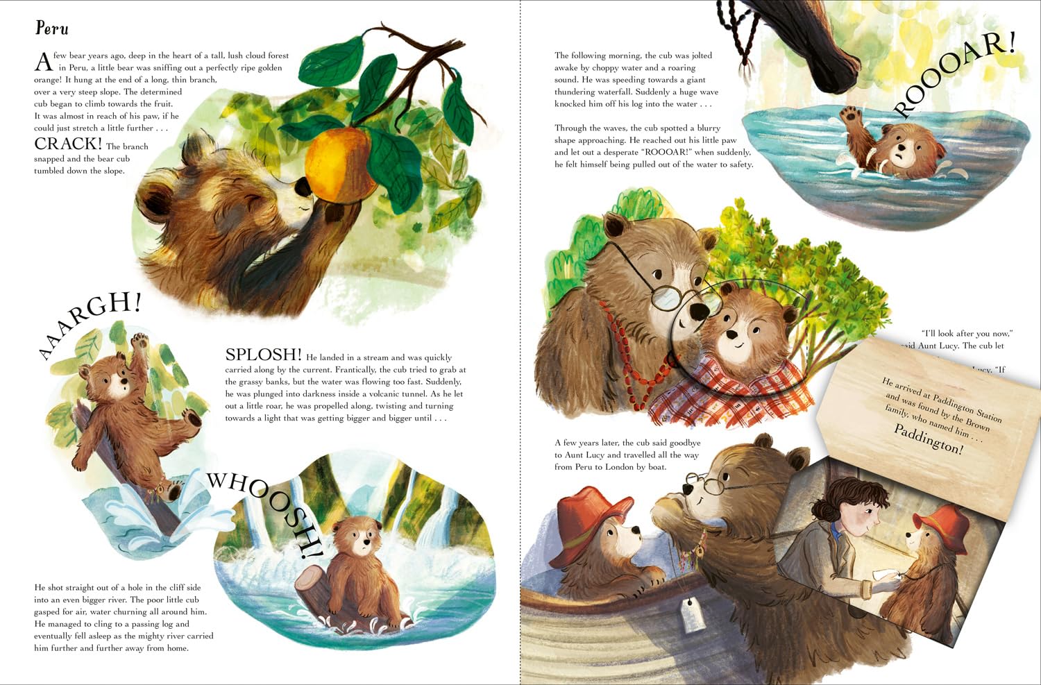 Paddington In Peru - Jungle Quest (Illustrated Book)