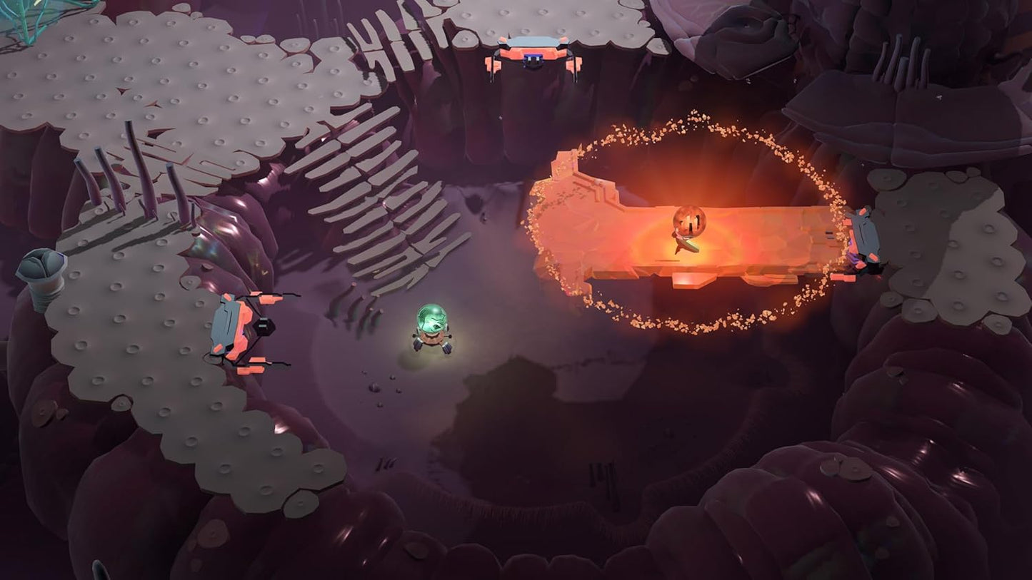 Cocoon (PlayStation 5)