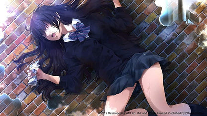 Kotodama: The 7 Mysteries of Fujisawa (Nintendo Switch)