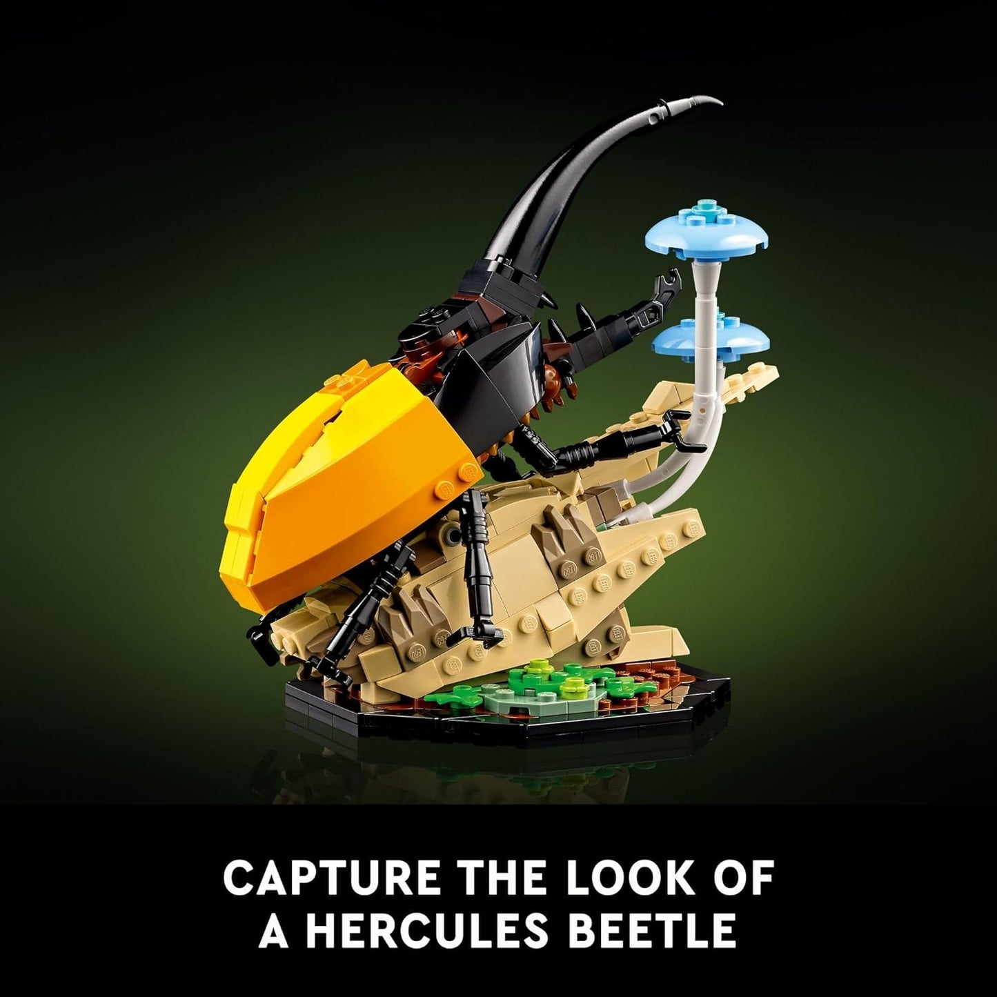 LEGO® | Exclusive, Ideas: The Insect Collection (21342)