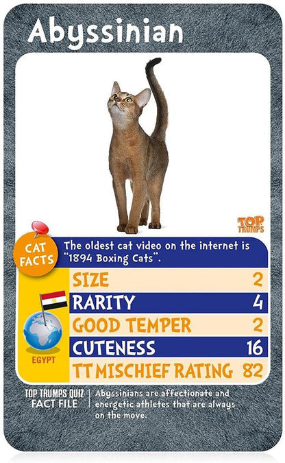 Top Trumps Cats