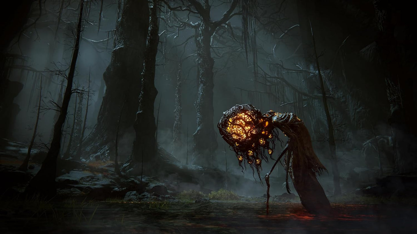 Elden Ring: Shadow of the Erdtree (PlayStation 5)