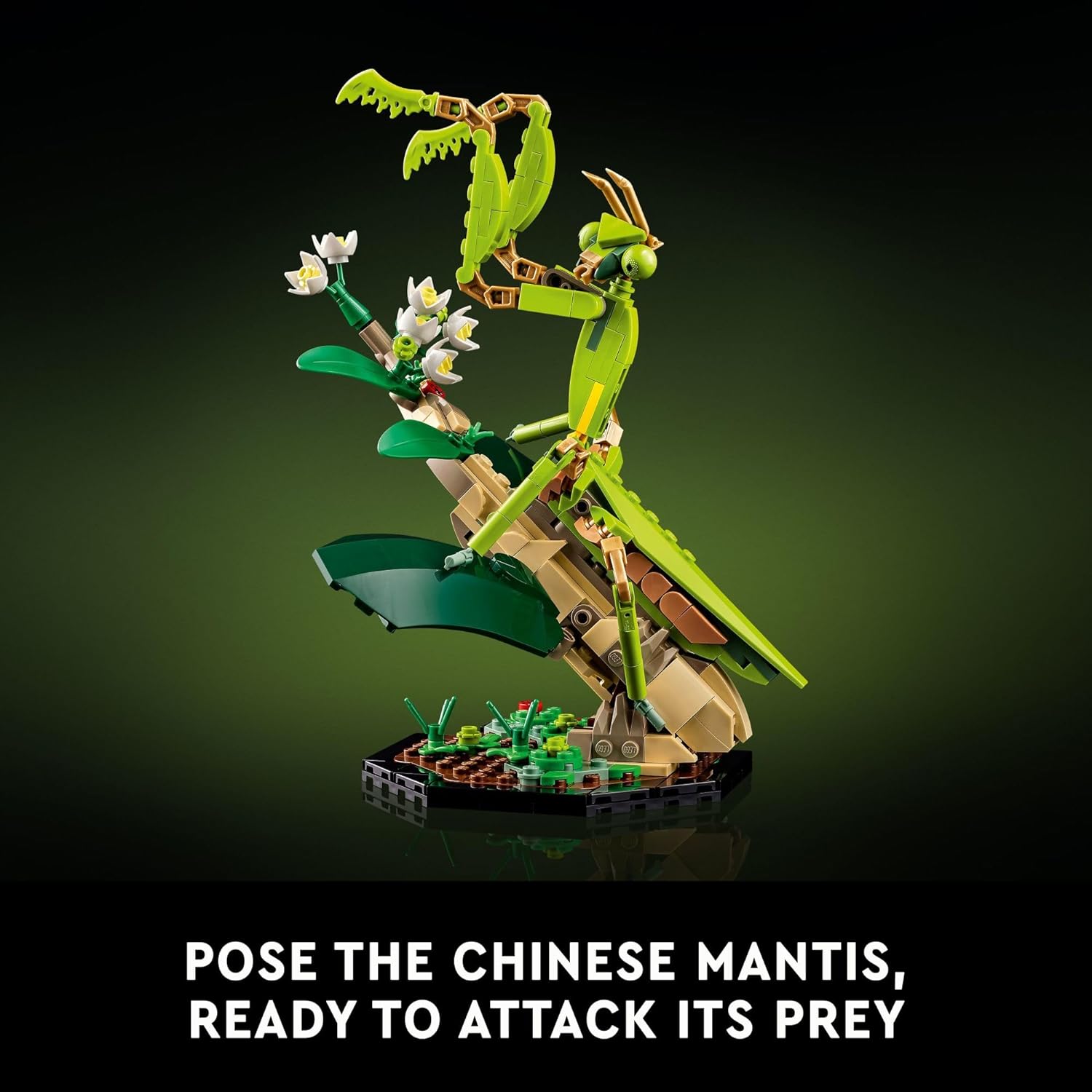 LEGO® | Exclusive, Ideas: The Insect Collection (21342)