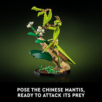 LEGO® | Exclusive, Ideas: The Insect Collection (21342)