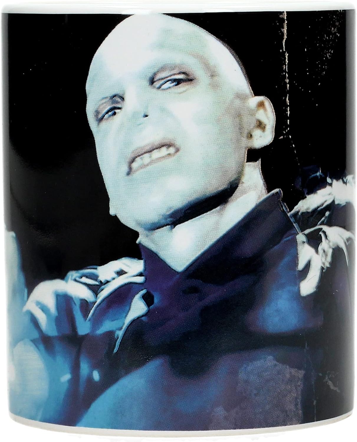 Harry Potter Voldemort Mug