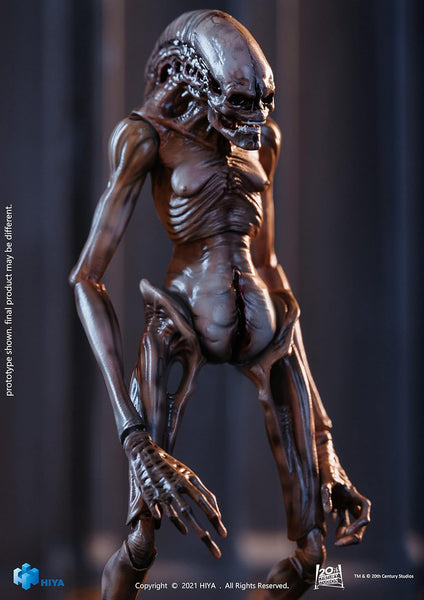 Diamond Selet - Alien Resurection The Newborn Previews Exclusive 1/18