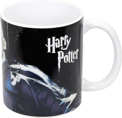 Harry Potter Voldemort Mug
