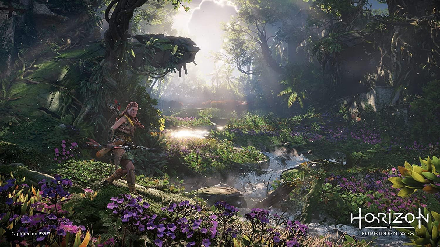 Horizon Forbidden West (PlayStation 5)