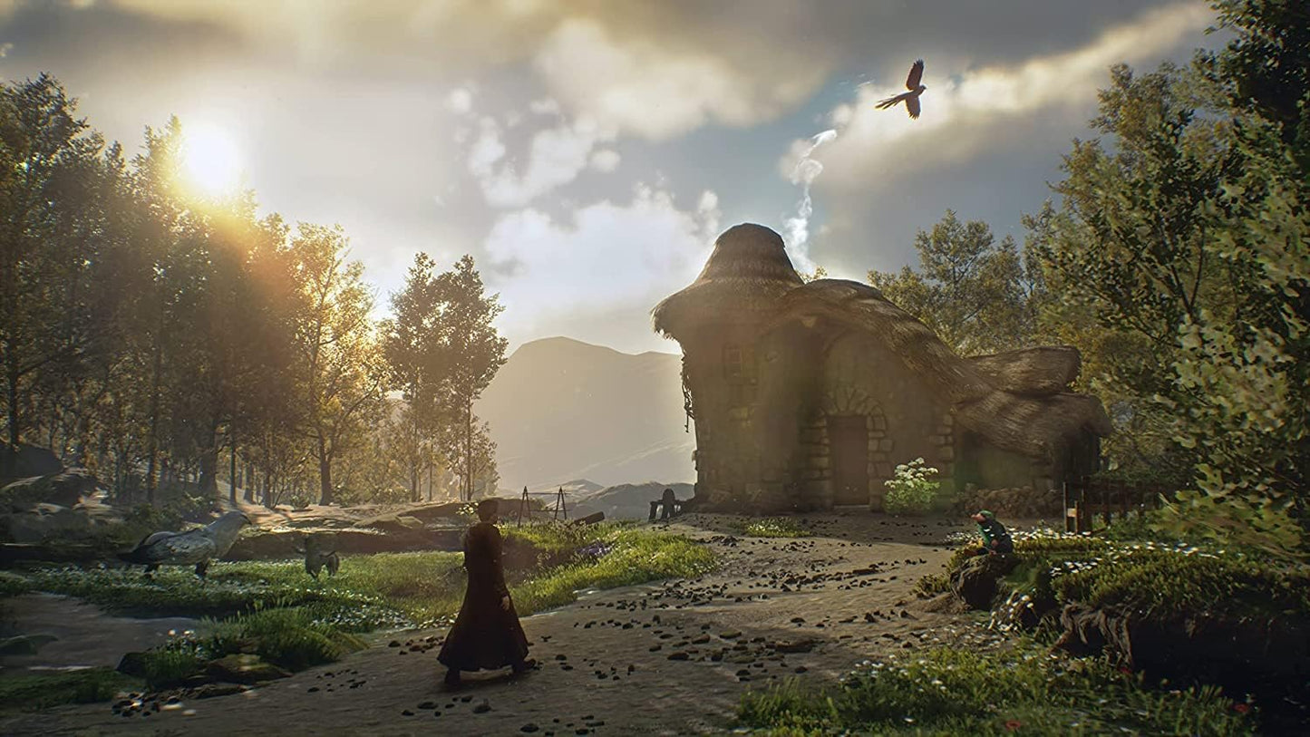Hogwarts Legacy (Xbox One)