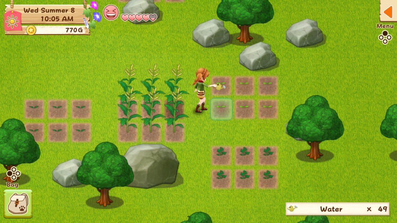 Harvest Moon: Light of Hope Special Edition (PlayStation 4)