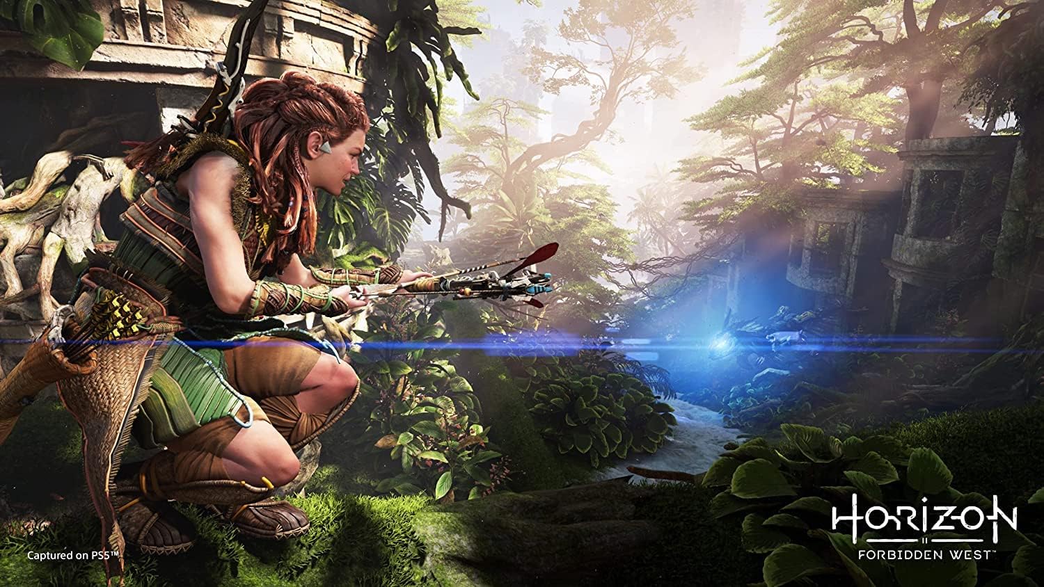 Horizon Forbidden West (PlayStation 5)