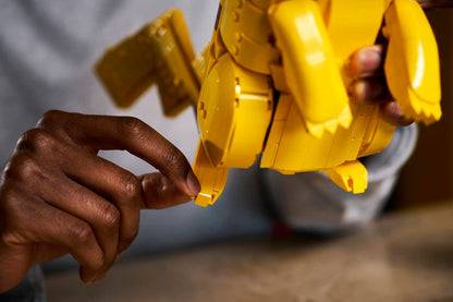 LEGO® | Pokémon: Pikachu and Poké Ball (72152)
