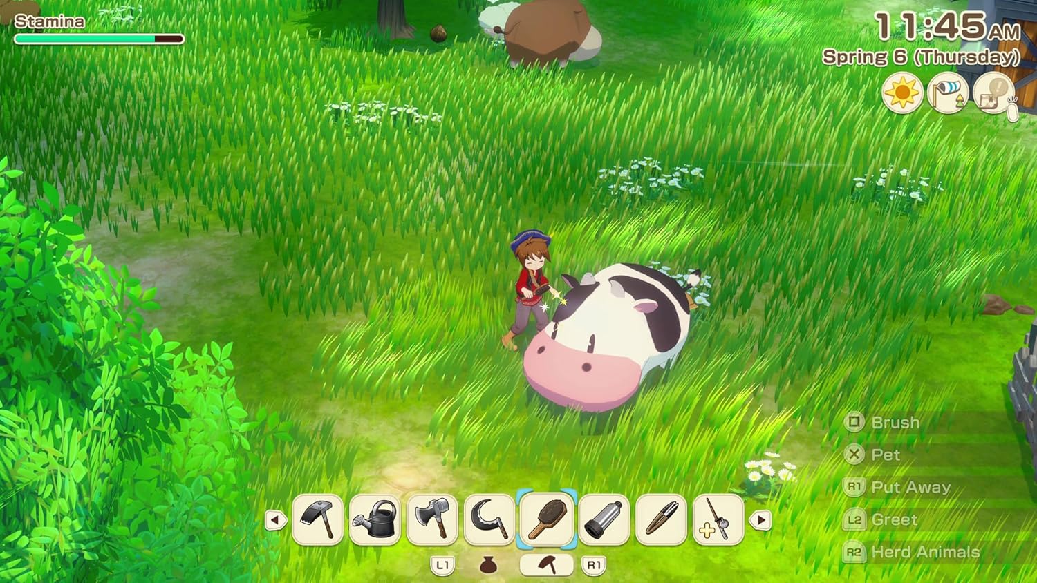Story of Seasons: Grand Bazaar (PlayStation 5)