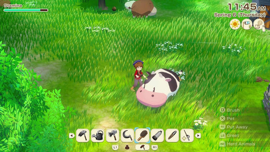Story of Seasons: Grand Bazaar (PlayStation 5)