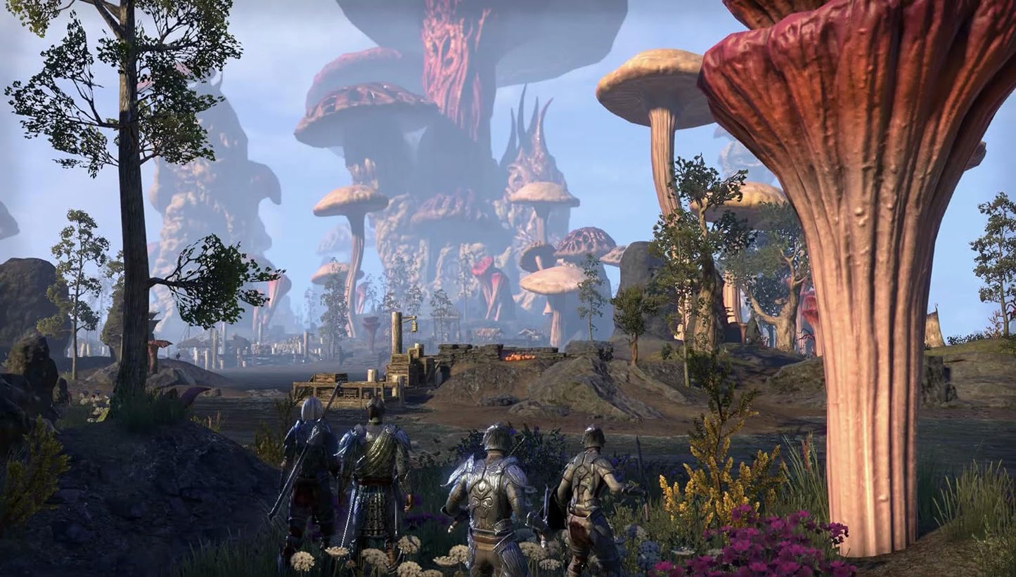The Elder Scrolls Online Morrowind (PlayStation 4)