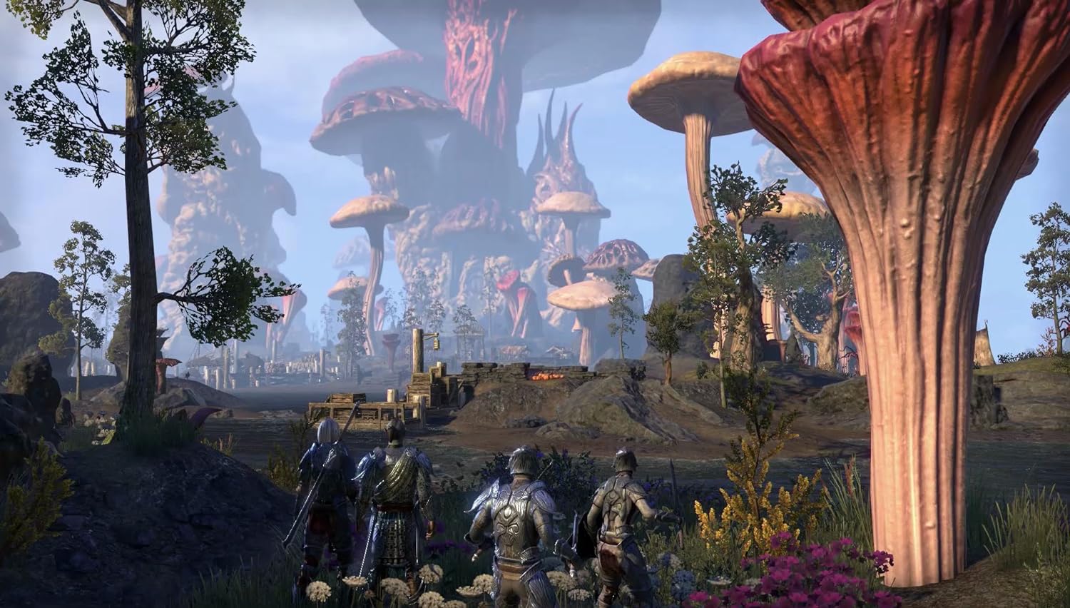 The Elder Scrolls Online Morrowind (PlayStation 4)