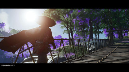 Ghost of Tsushima - Director's Cut (PlayStation 5)
