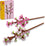 LEGO® | Botanical: Cherry Blossoms (40725)