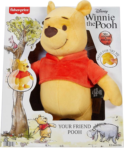 Fisher Price Winnie the Pooh 12