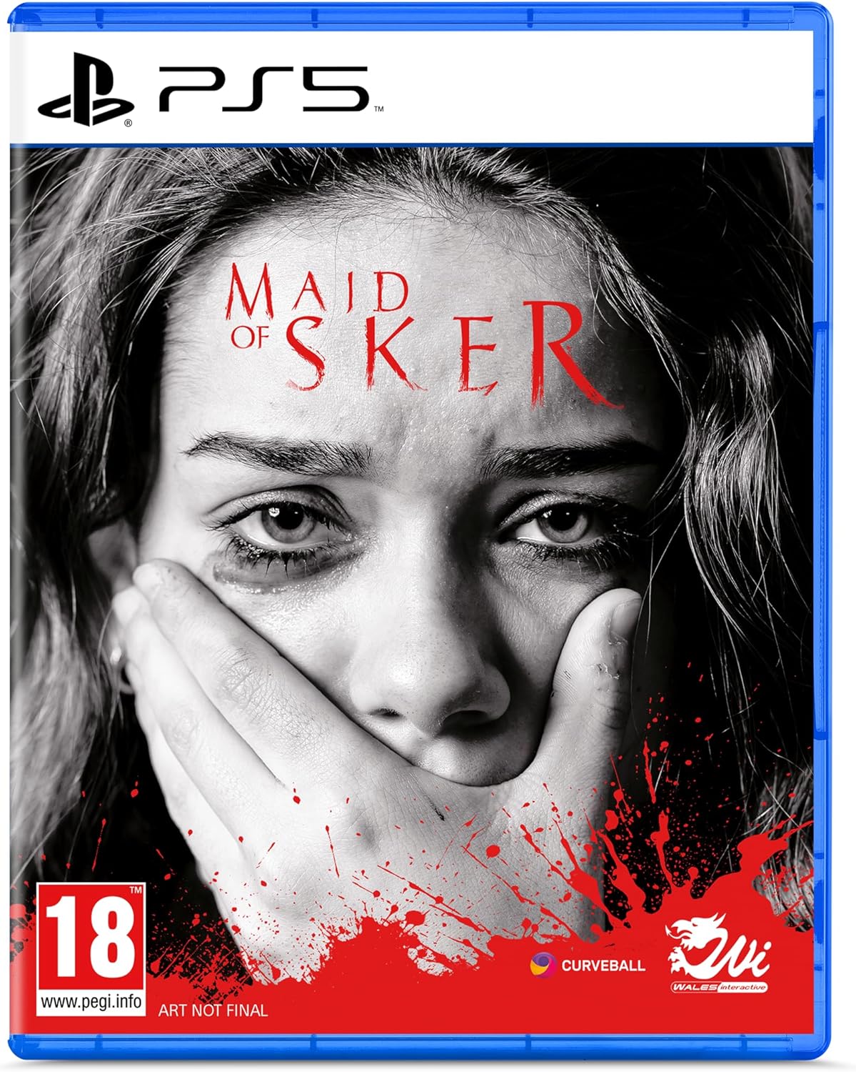 Maid of Sker (PlayStation 5)