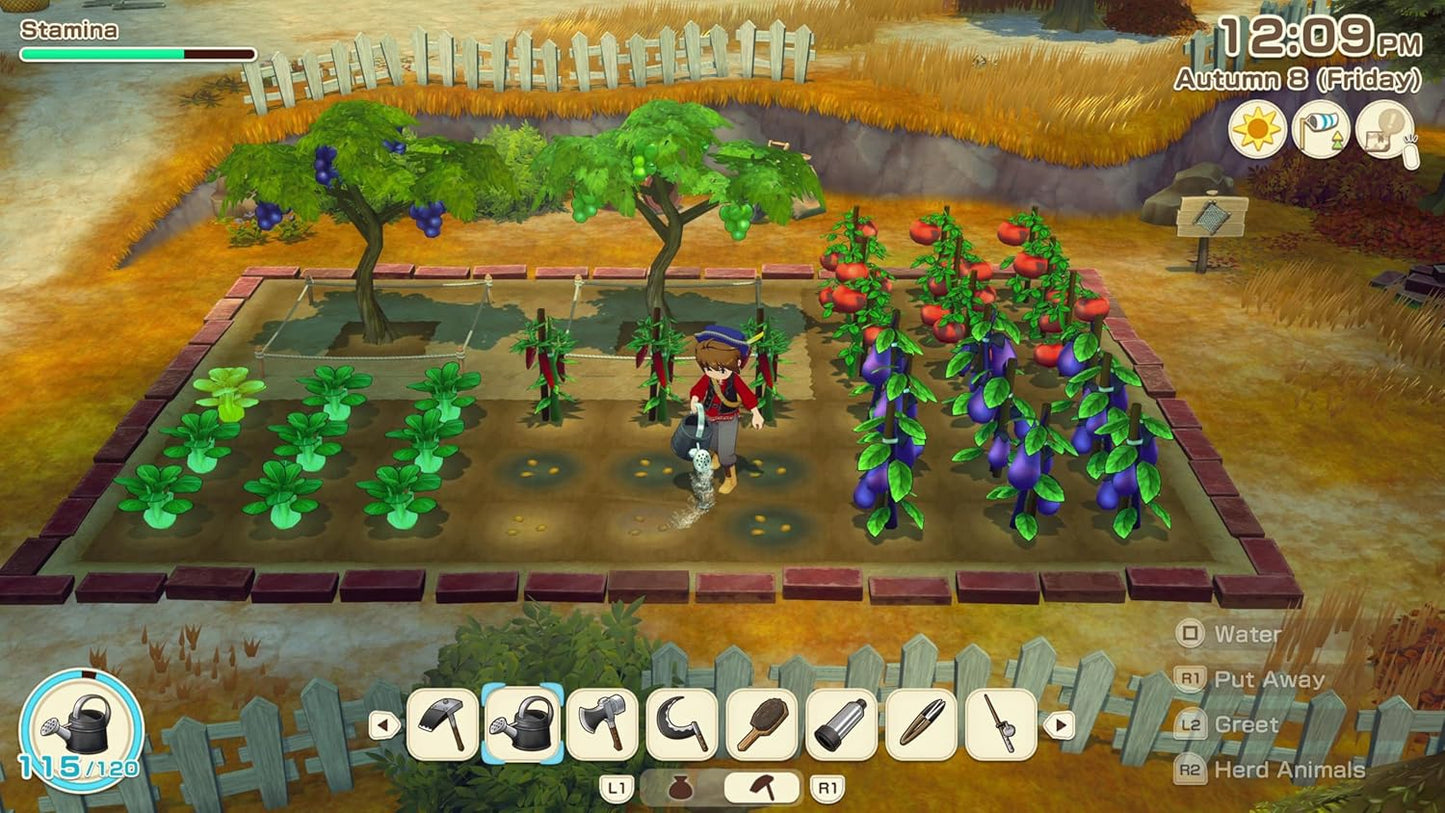 Story of Seasons: Grand Bazaar (PlayStation 5)